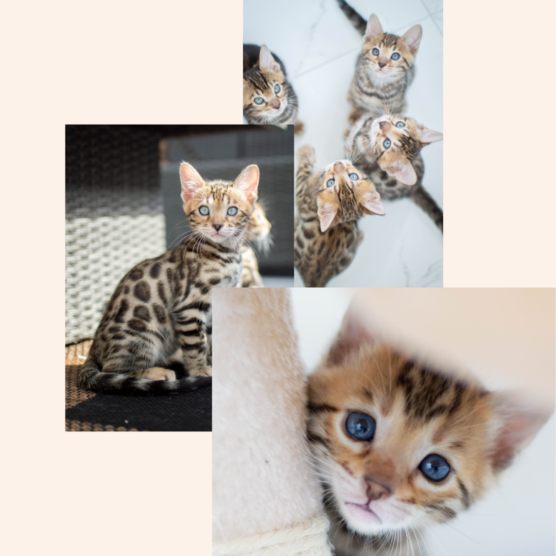 Woman enjoying food, meals in storage container, and food bowls on a table