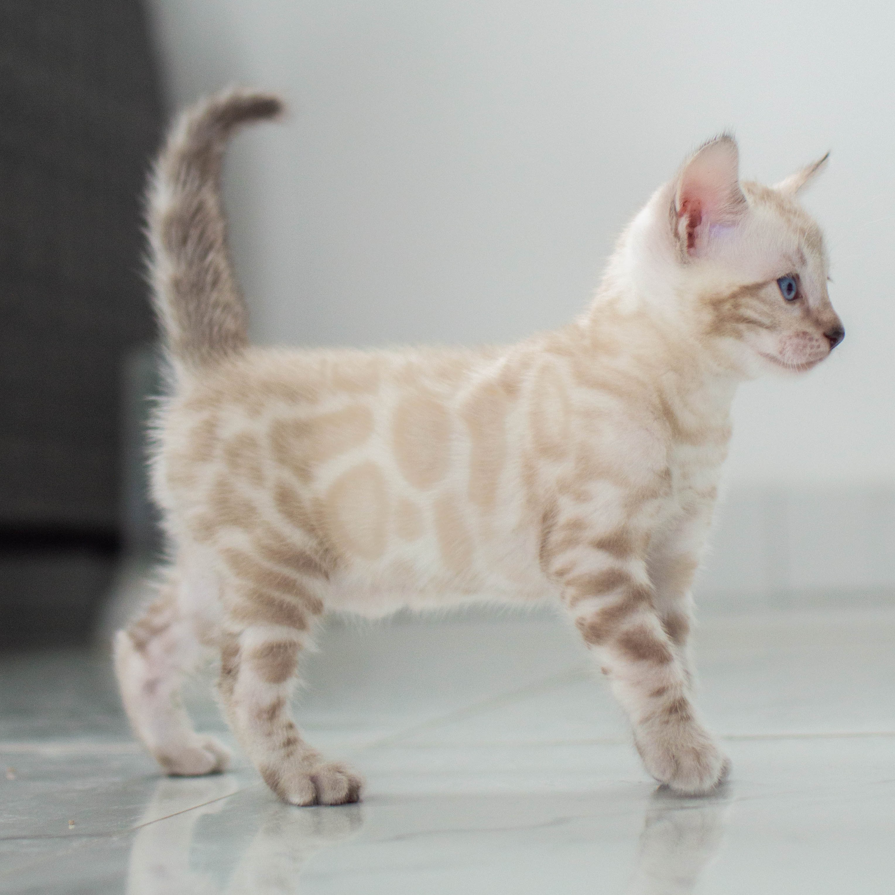 Photo of beautifully
            arranged food