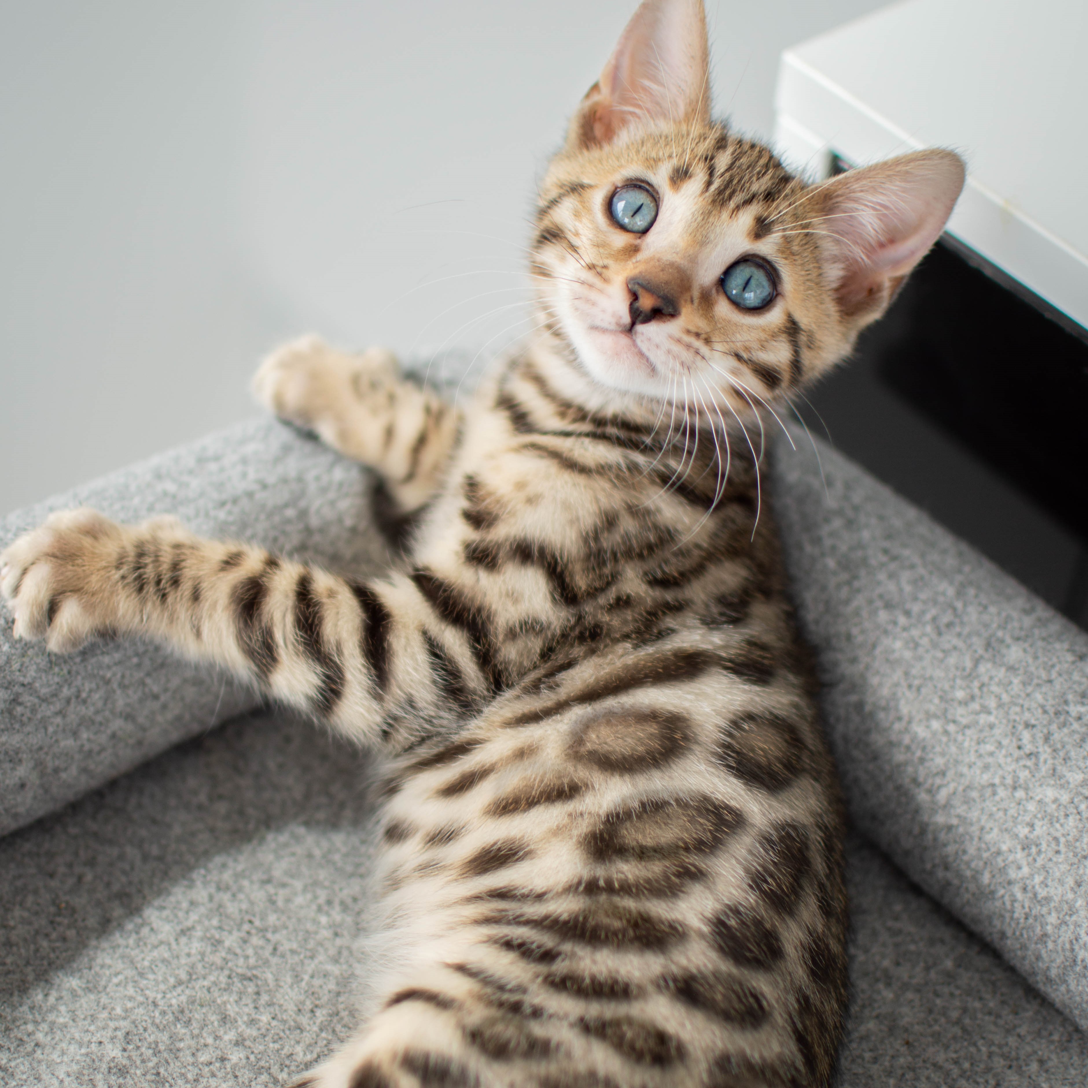 Photo of beautifully
            arranged food